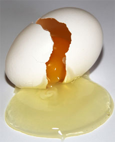 broken humpty egg