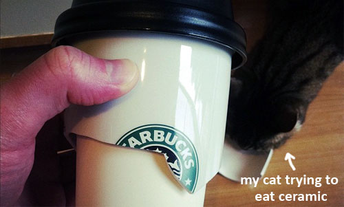 broken starbucks mug