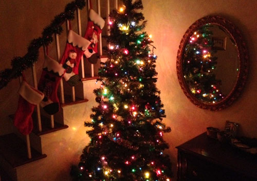 christmas tree lights