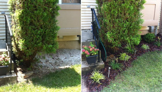 garden before & after