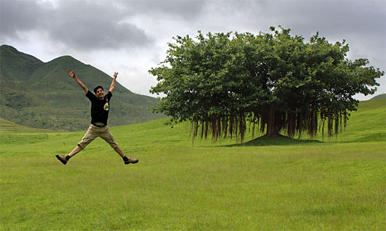 jump of joy