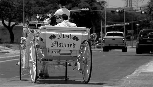 just married horse & buggy