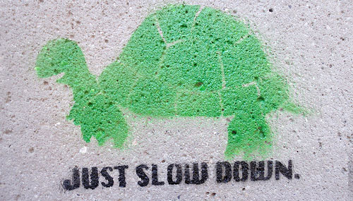 just slow down turtle