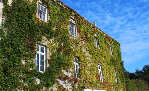 old irish manor