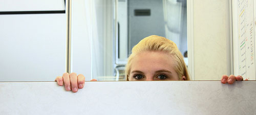 peek-a-boo chick