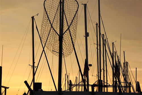 sailboats masts