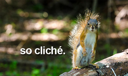 squirrel cliche adhd