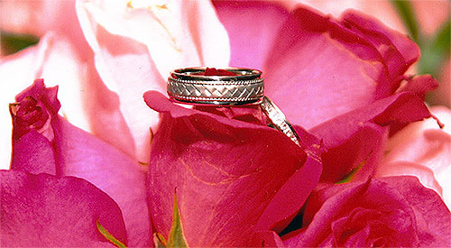 wedding bands on roses