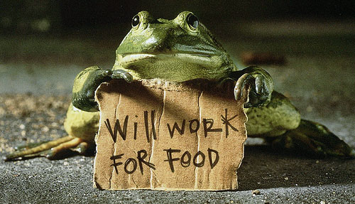 will work for food frog sign