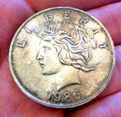 liberty silver dollar