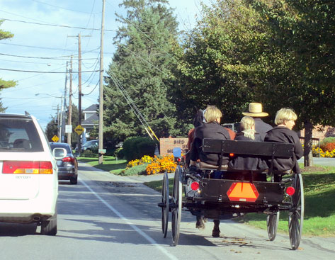 amish horse and buggy