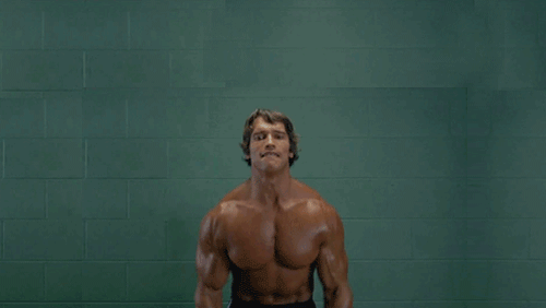 arnold cats gif
