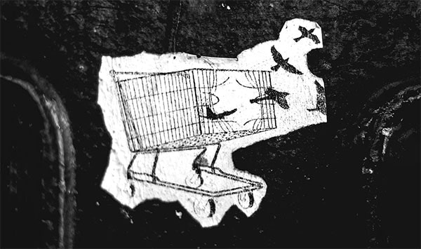 broken shopping cart birds