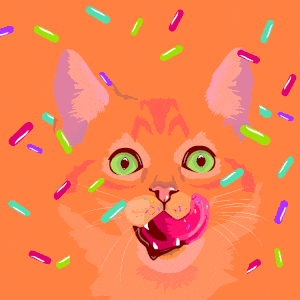 candy cat gif
