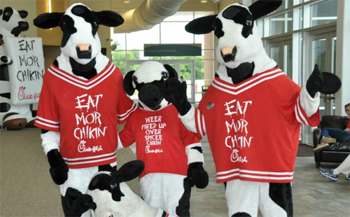 Side Hustle Series: I’m a Chick-fil-A Cow | Budgets Are Sexy