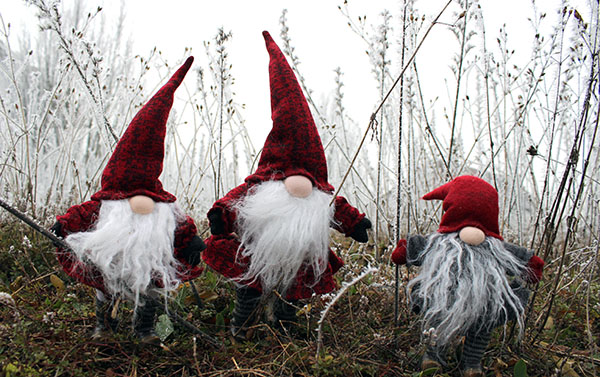 christmas gnomes