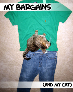 clothes and cat
