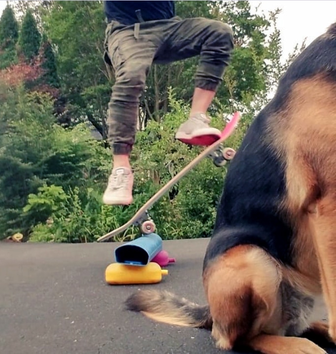 dog boarding