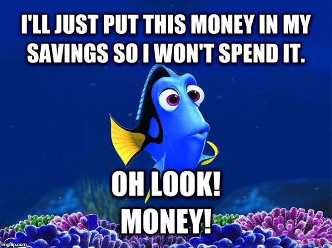 saving money meme