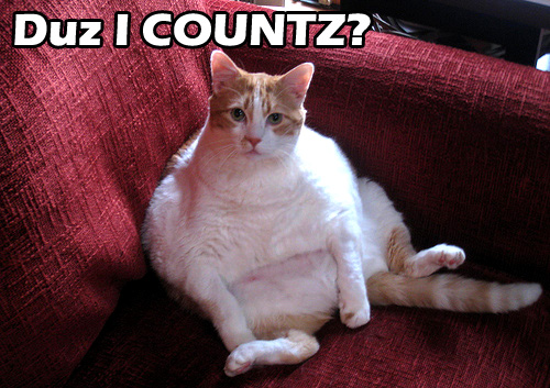 Duz I Countz? Fat Cat