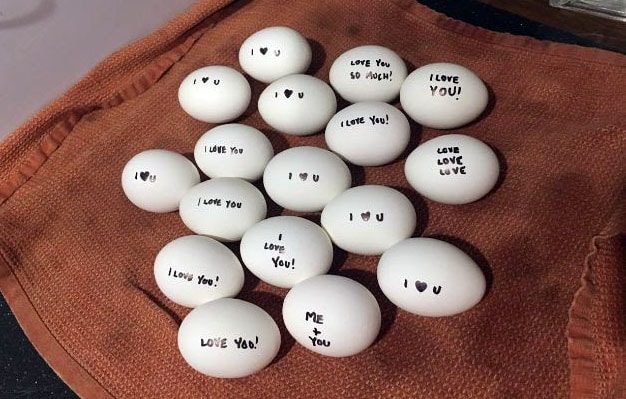 egg love notes