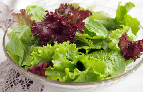 fresh green salad