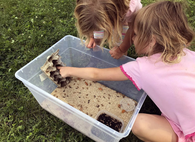 girls playing with crickets