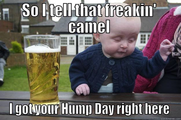 hump day camel baby