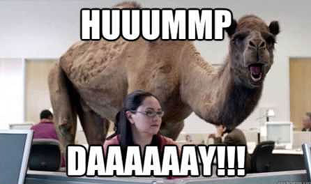 hump day camel geico