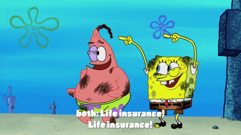 life insurance gif - spongebob