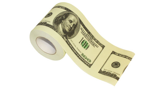 money dollar bill toilet paper