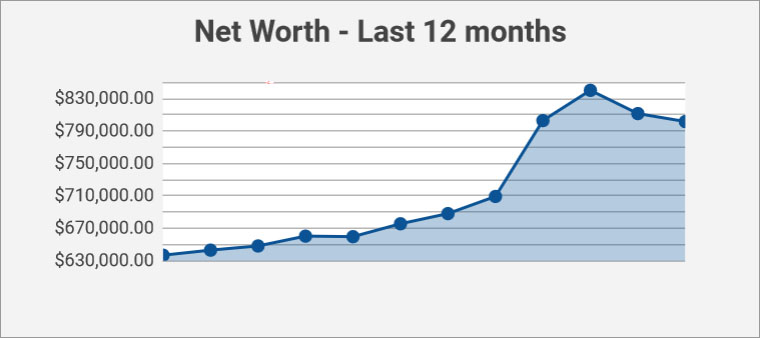 net worth - past 12 months