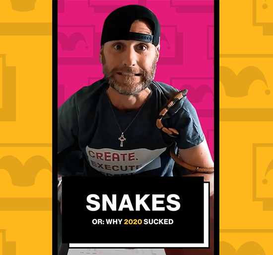 snakes video cover