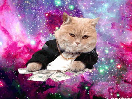 money cat gif