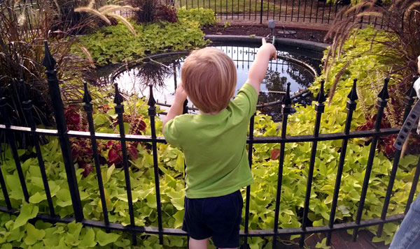 throwing pennies in fountain