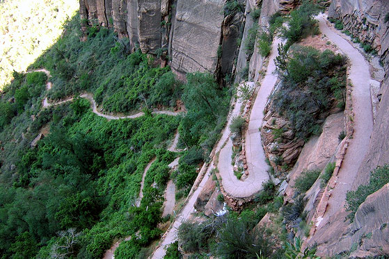 walters wiggles zion park