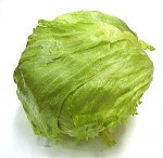 iceberg lettuce safe
